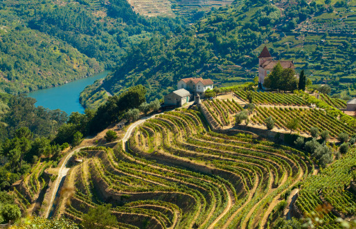 The Douro River Valley
