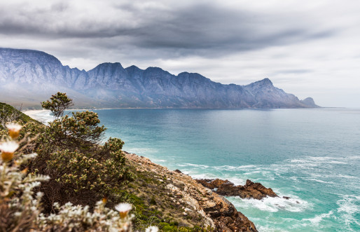 Western Cape
