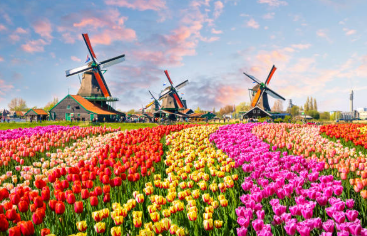 Windmill in Netherlands countryside