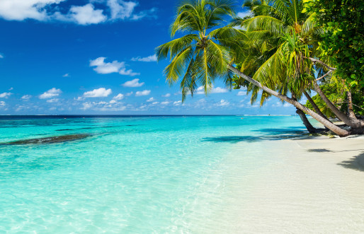 Maldives generic beach image