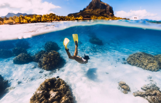 Mauritius Snorkelling
