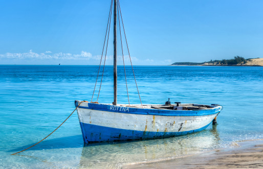 Image of a dhow sitting on the shoreline of Mozambique