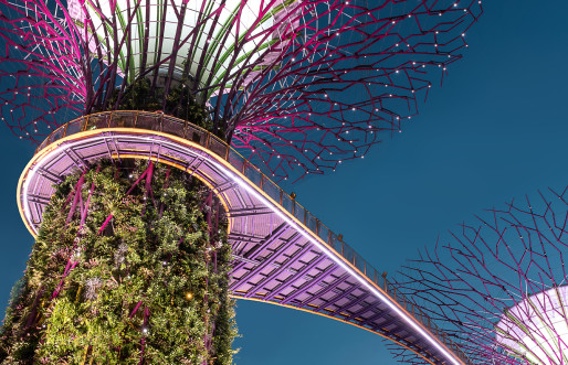Supertrees at Singapore's Garends by the Bay