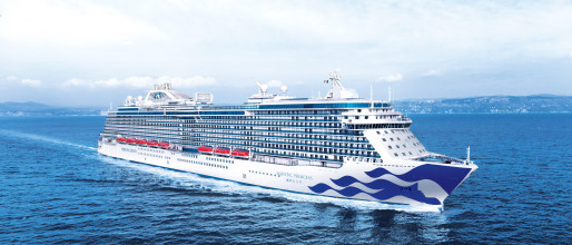 The Majestic Princess, a luxurious vessel in the Princess Cruises fleet, offers an array of staterooms designed to cater to various preferences and budgets, from interior cabins to lavish suites with private balconies.